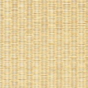 清流15　白茶色（しろちゃ）