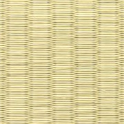 銀白100A若草色（わかくさ）