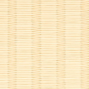 銀白100A若草色（わかくさ）