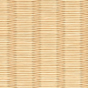 銀白100A若草色（わかくさ）