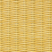 目積　イエロー